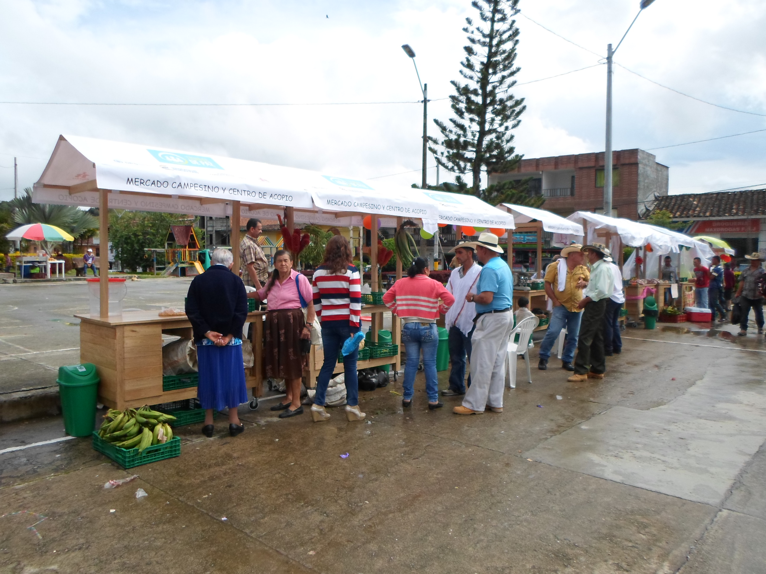 ALEJANDRIA REVIVE EL MERCADO CAMPESINO